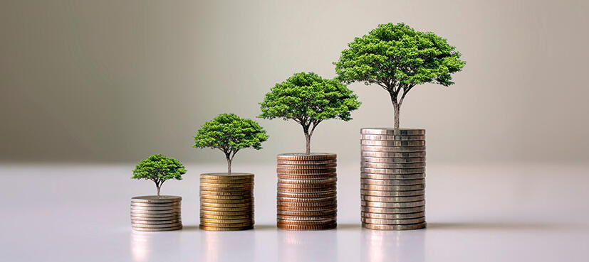 nick trent - trees growing continously